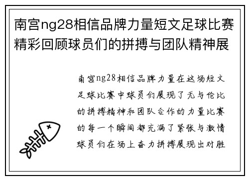 南宫ng28相信品牌力量短文足球比赛精彩回顾球员们的拼搏与团队精神展现无遗